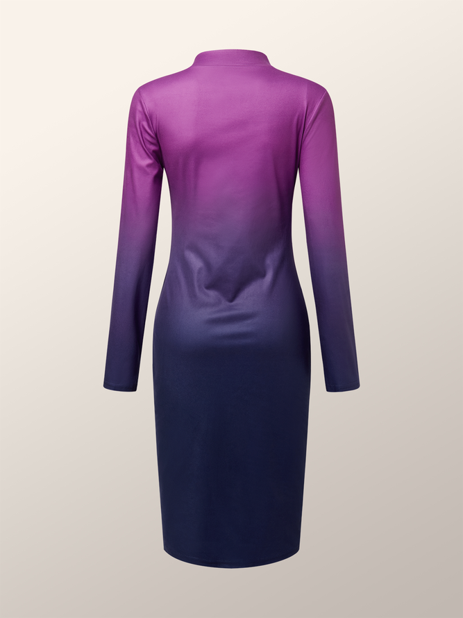 Elegant Turtleneck Ombre  Regular Fit  Long Sleeve Dress