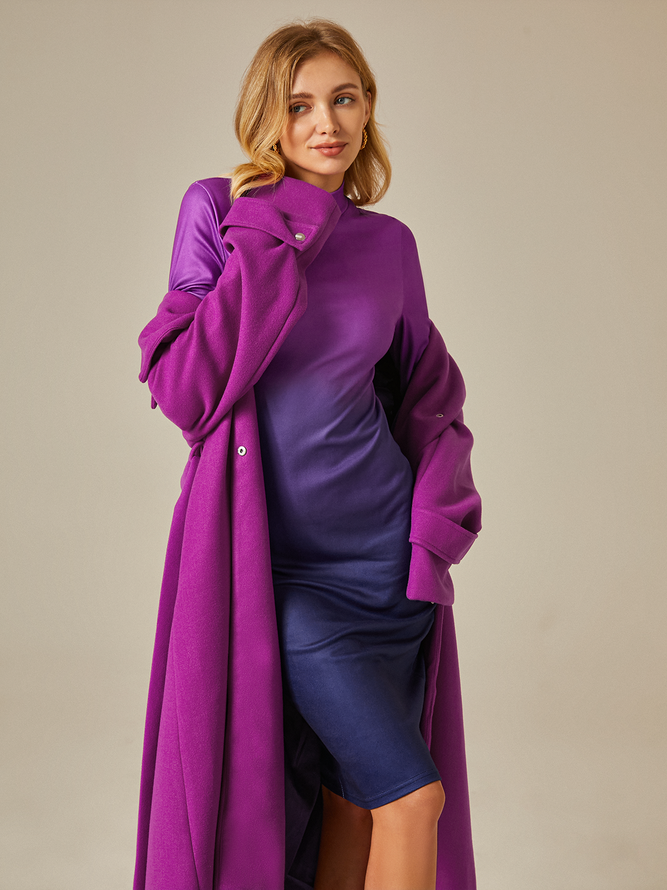 Elegant Turtleneck Ombre  Regular Fit  Long Sleeve Dress