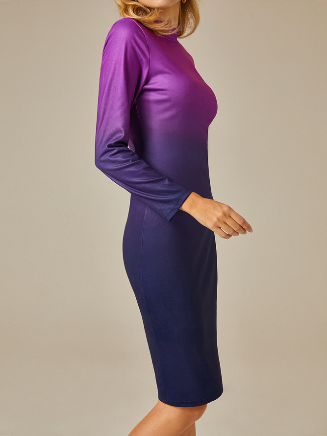 Elegant Turtleneck Ombre  Regular Fit  Long Sleeve Dress