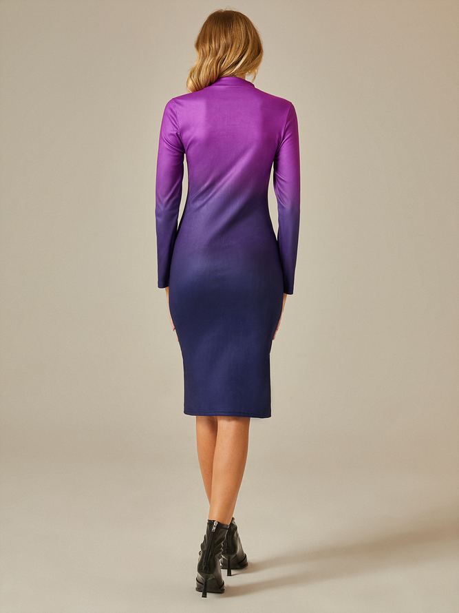 Elegant Turtleneck Ombre  Regular Fit  Long Sleeve Dress